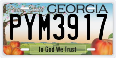 GA license plate PYM3917