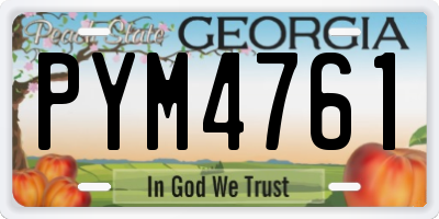 GA license plate PYM4761