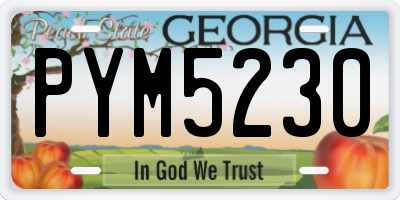 GA license plate PYM5230