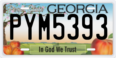 GA license plate PYM5393