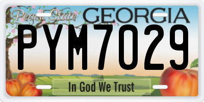 GA license plate PYM7029
