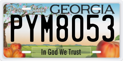 GA license plate PYM8053