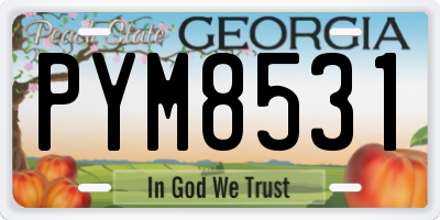 GA license plate PYM8531