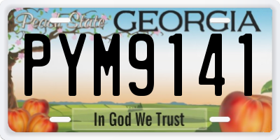 GA license plate PYM9141