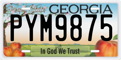 GA license plate PYM9875