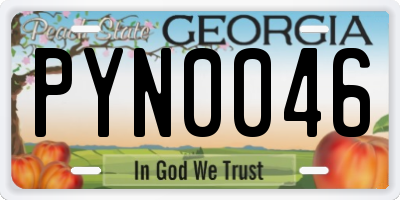 GA license plate PYN0046