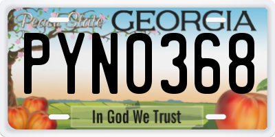 GA license plate PYN0368