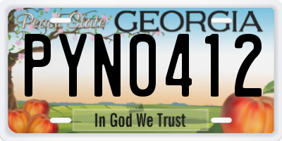 GA license plate PYN0412