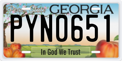 GA license plate PYN0651