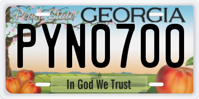 GA license plate PYN0700