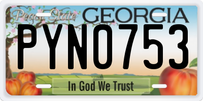GA license plate PYN0753