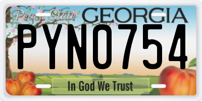 GA license plate PYN0754