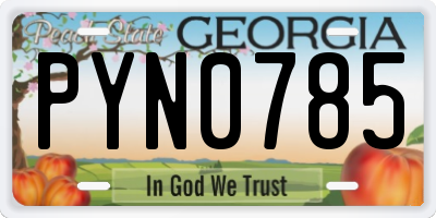 GA license plate PYN0785