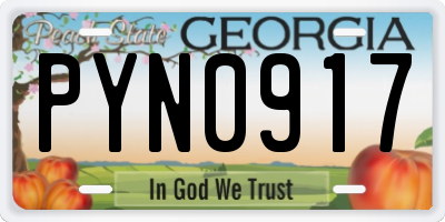 GA license plate PYN0917