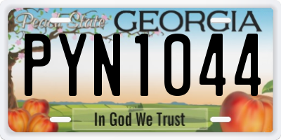 GA license plate PYN1044