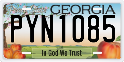 GA license plate PYN1085
