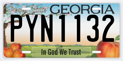 GA license plate PYN1132