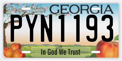 GA license plate PYN1193