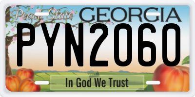 GA license plate PYN2060
