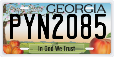 GA license plate PYN2085
