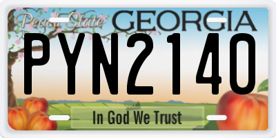 GA license plate PYN2140