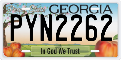 GA license plate PYN2262