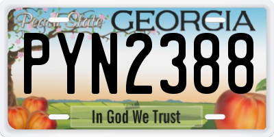 GA license plate PYN2388