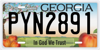 GA license plate PYN2891