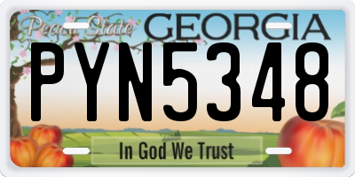 GA license plate PYN5348