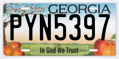 GA license plate PYN5397