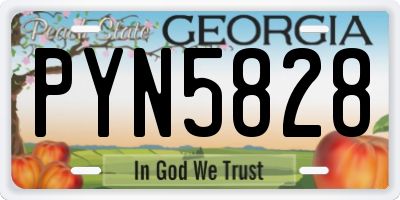 GA license plate PYN5828