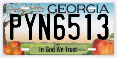GA license plate PYN6513