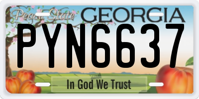 GA license plate PYN6637