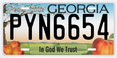 GA license plate PYN6654