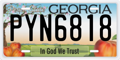 GA license plate PYN6818