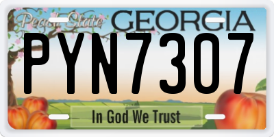 GA license plate PYN7307