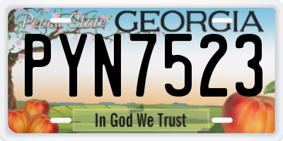 GA license plate PYN7523