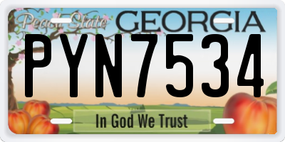GA license plate PYN7534