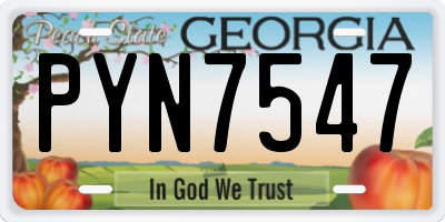 GA license plate PYN7547