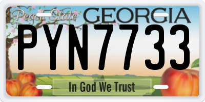 GA license plate PYN7733