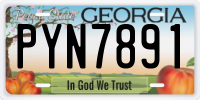 GA license plate PYN7891