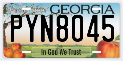 GA license plate PYN8045