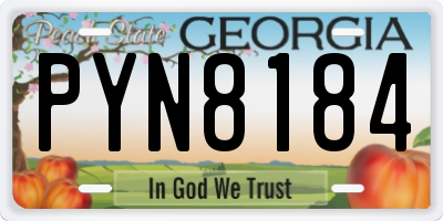 GA license plate PYN8184