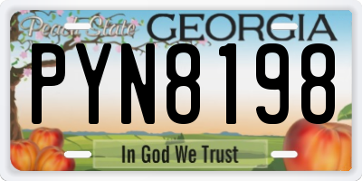 GA license plate PYN8198