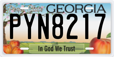 GA license plate PYN8217