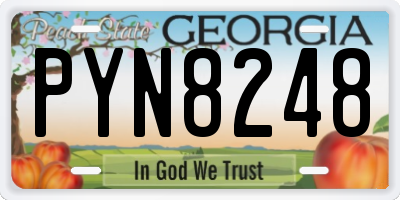 GA license plate PYN8248