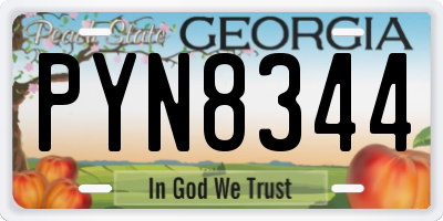 GA license plate PYN8344