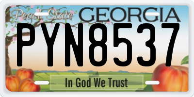 GA license plate PYN8537