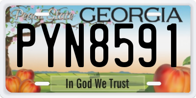 GA license plate PYN8591