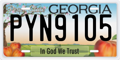 GA license plate PYN9105